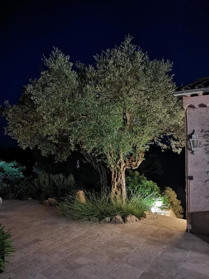 Le Nid Des Arts Bed & Breakfast Tourrettes Exterior photo